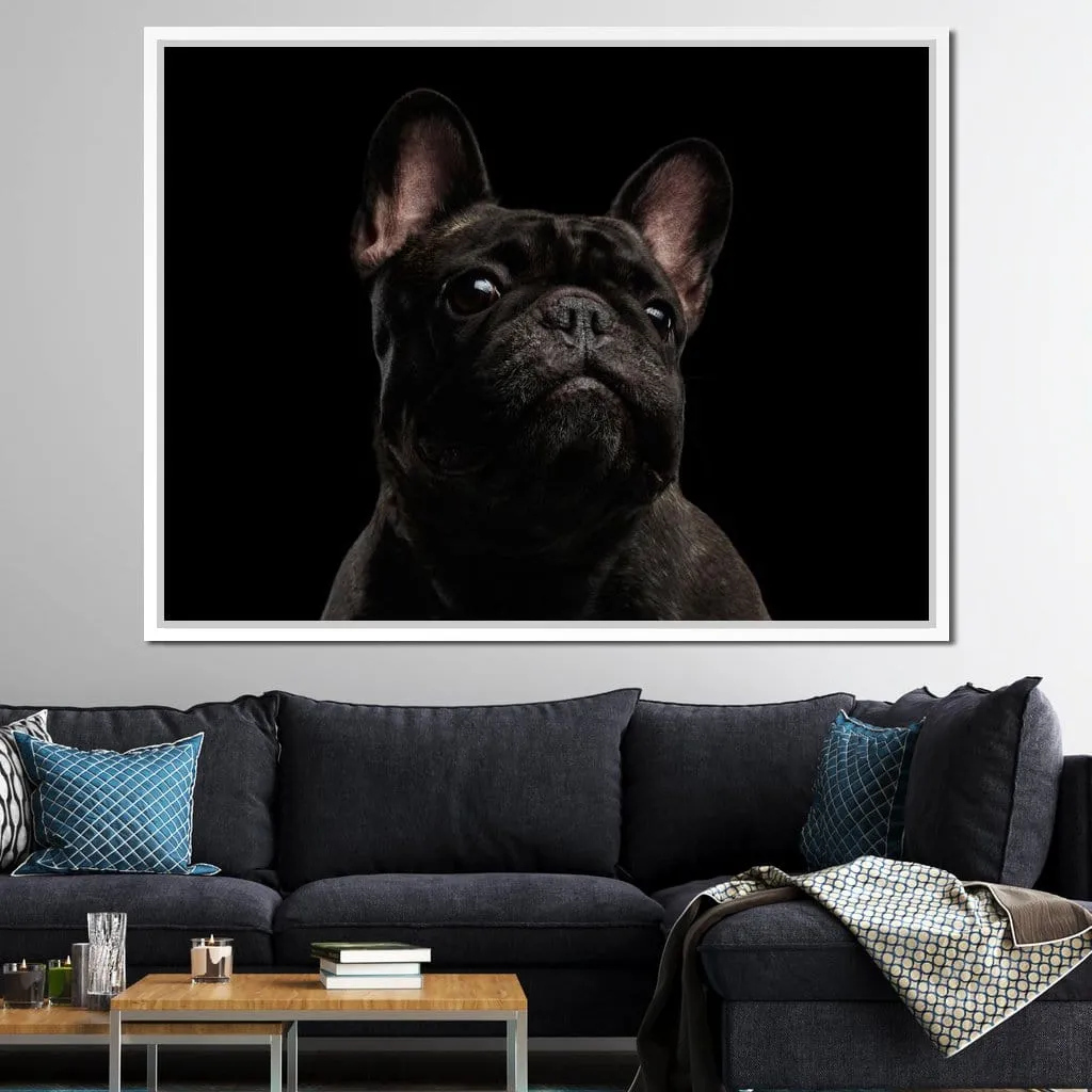 Black French Bulldog