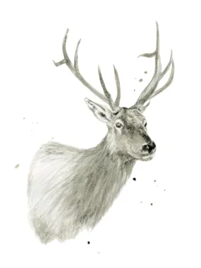 Buck Bust