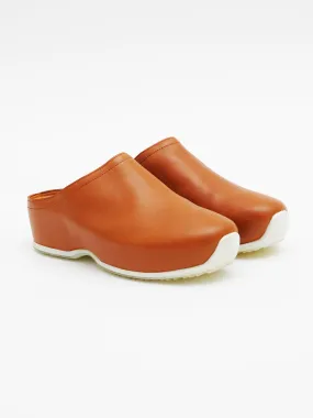 Closed Toe ECCO Clogs