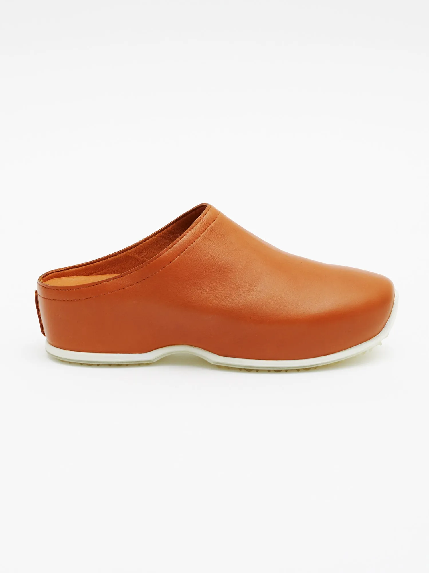 Closed Toe ECCO Clogs