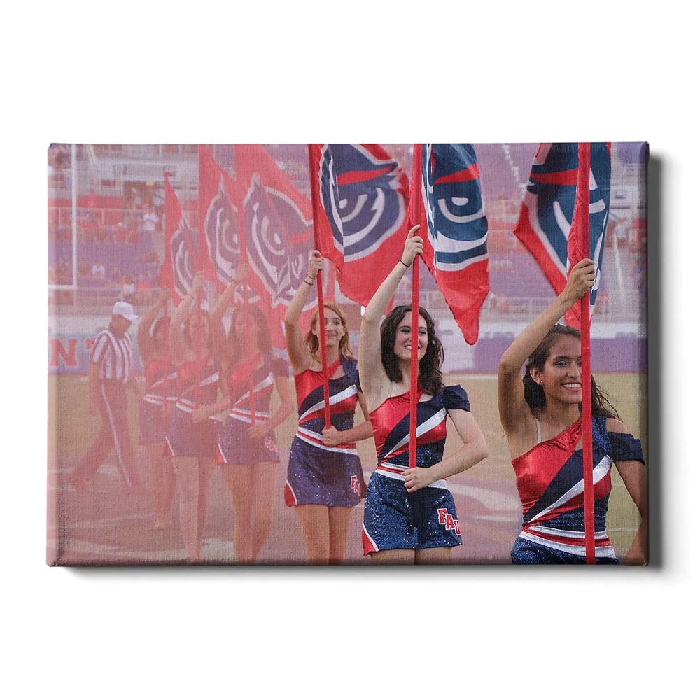 Florida Atlantic Owls - FAU Spirit