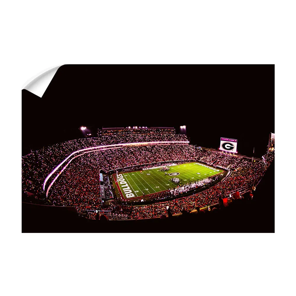 Georgia Bulldogs - Georgia Bulldogs Sanford Lights