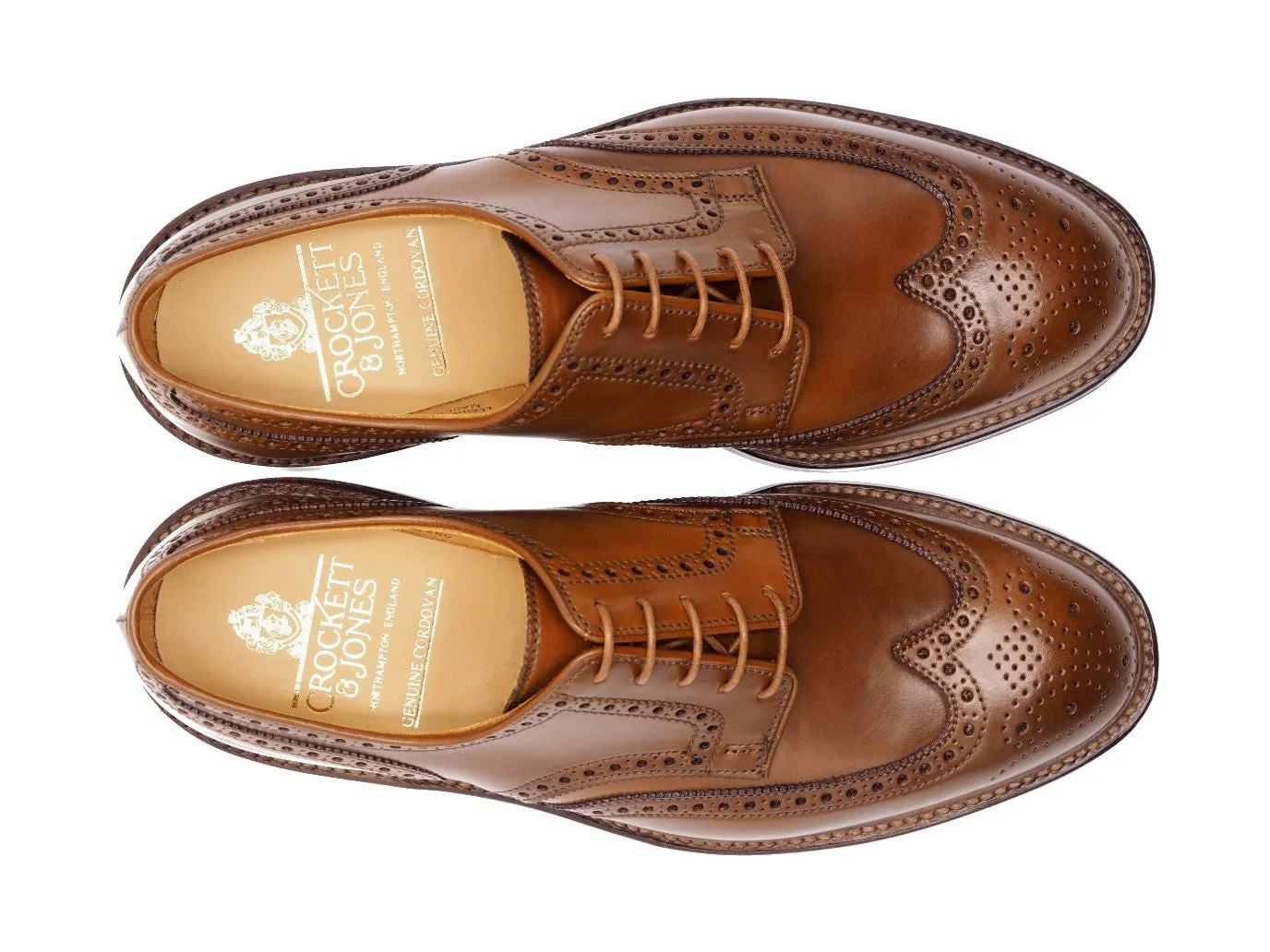 Pembroke Whiskey Shell Cordovan